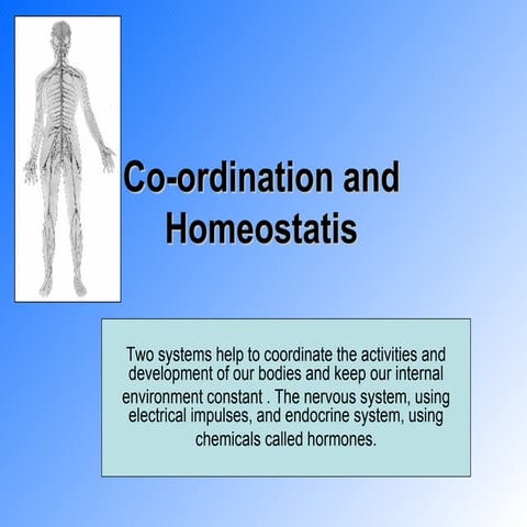 07 Co Ordination And Homeostatis
