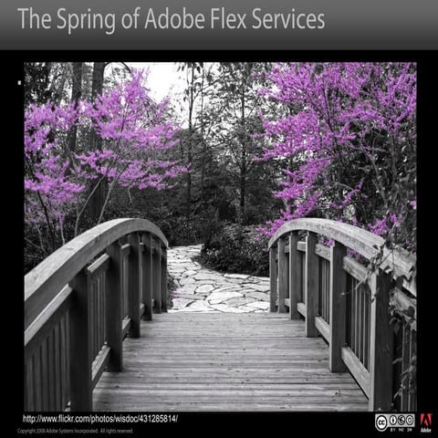 Flex Services And Spring with Spring-Flex ParisJug