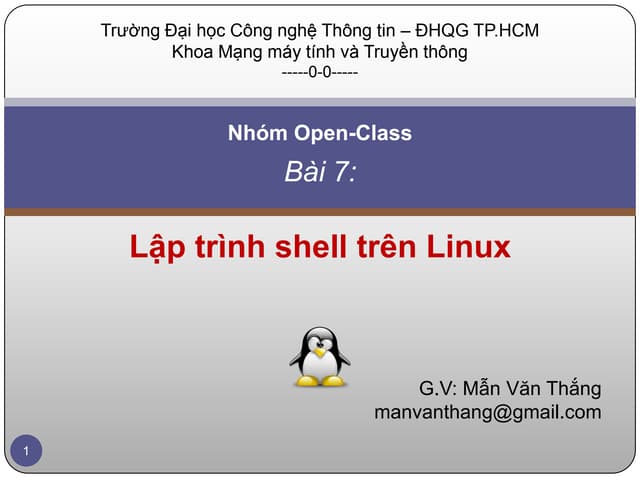 Lesson 7 - Linux Shell Programming | PDF