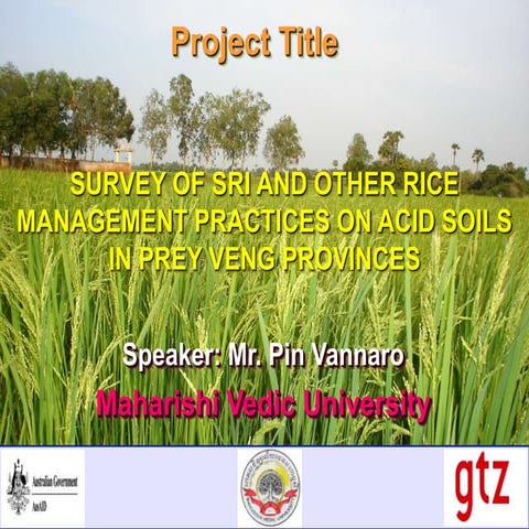 0703 Survey of SRI and Other Rice Management Practices on Acid Soils in Prey ...