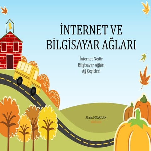 07065141 ınternetvebılgısayaragları