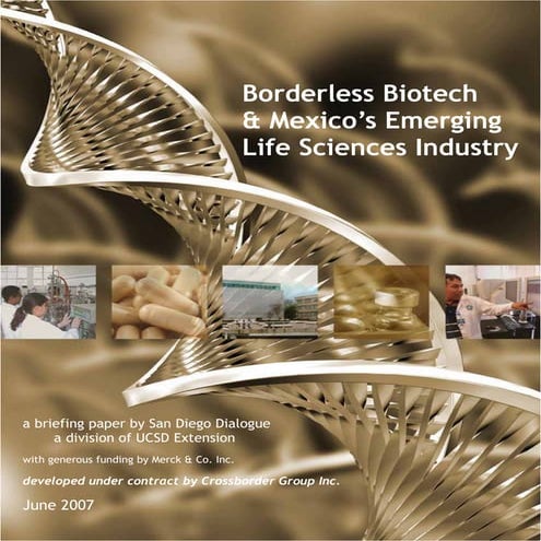 2006 - Borderless Innovation: Catalyzing the Competitiveness of the San ...