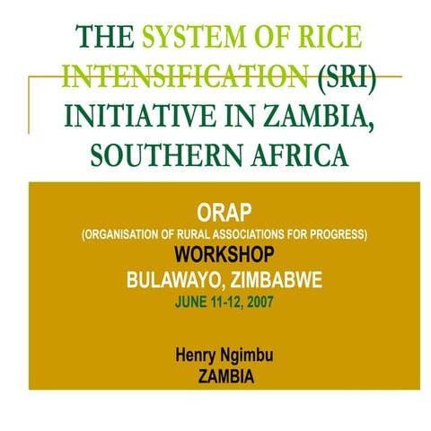 0706 The System of Rice Intensification (SRI) Initiative in Zambia, Southern ...