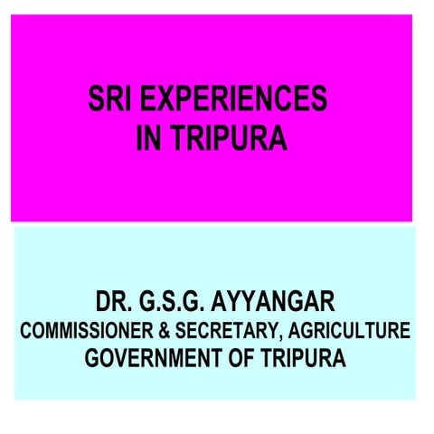 0717 System of Rice Intensification: Experiences in Tripura