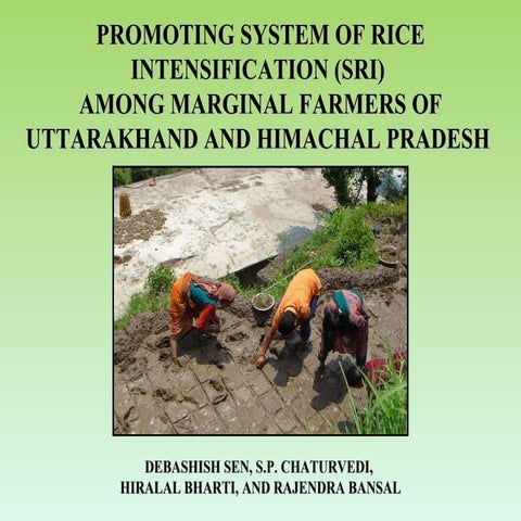 0718 Promoting System of Rice Intensification (SRI) Among Marginal Farmers of...