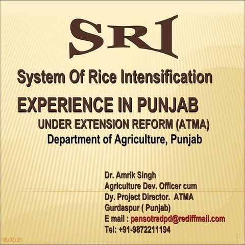 0720 System of Rice Intensification Experience in Punjab Under Extension Refo...