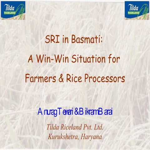 0721 System of Rice Intensification in Basmati: A Win Win Situation for Farme...