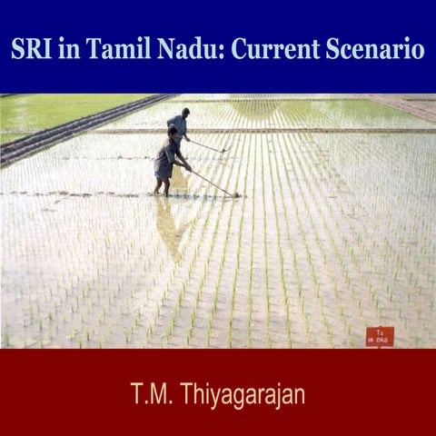 0726 SRI in Tamil Nadu: Current Scenario
