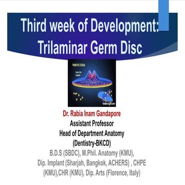 07 3rd Week of Development  by Dr. Rabia I. Gandapore.pptx