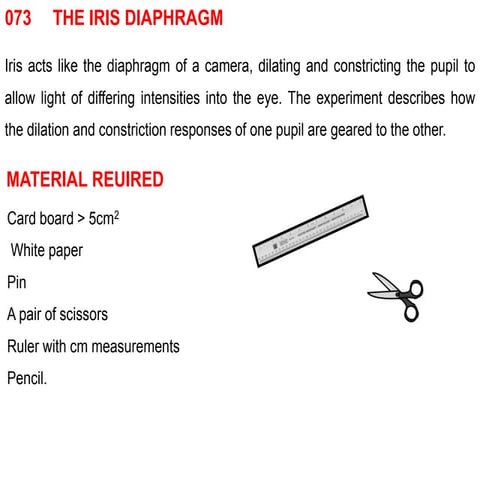 073 the iris diaphragm