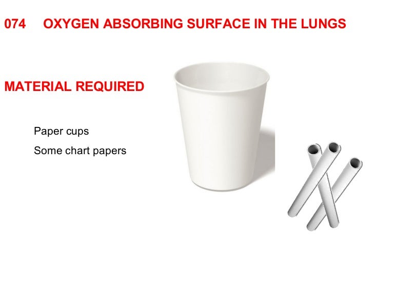 074 oxygen absorbing surface in the lungs