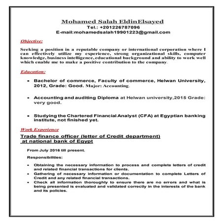 my updated cv | PDF