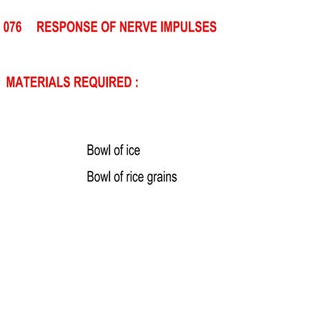 076 response of nerve impulse