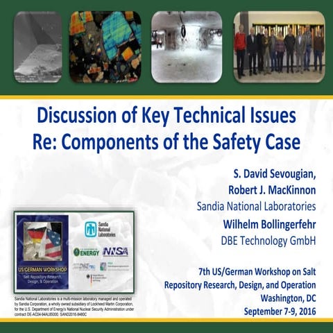 07a sevougian safety case sand2016 8480 c