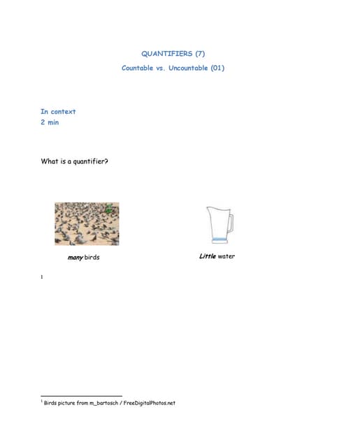 U5 quantifiers - exercises-3 ero-3g | PPTX