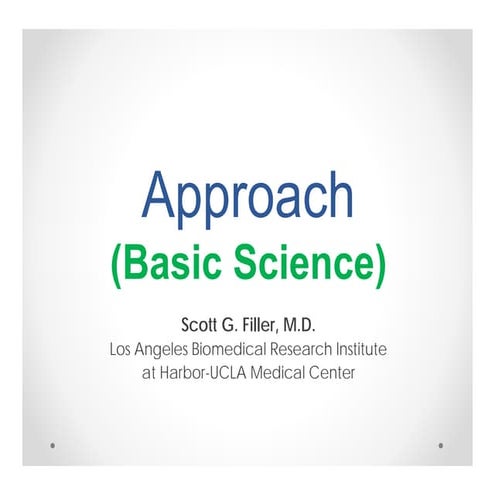 How to Structure the “Approach” Section of a Grant Application (Basic Science...