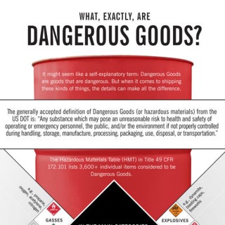 Infographic | What exactly are Dang...