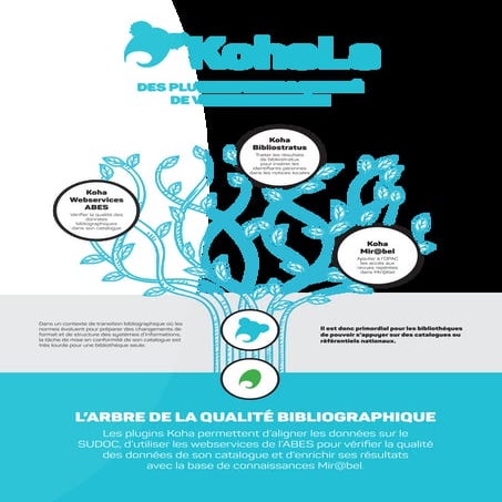 Jabes 2021 - Poster "Utiliser des plugins pour améliorer la qualité de votre ...