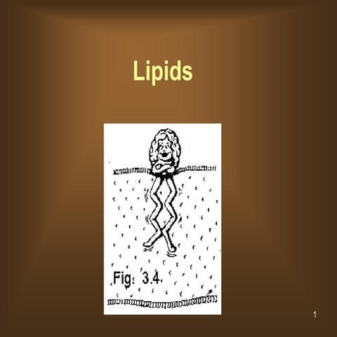 07 lipids and proteins and nucleic acids