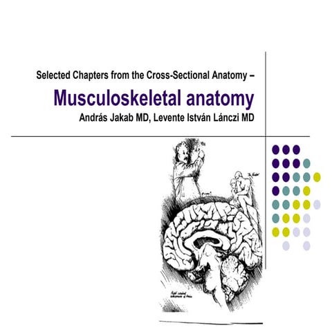 musculoskeletal