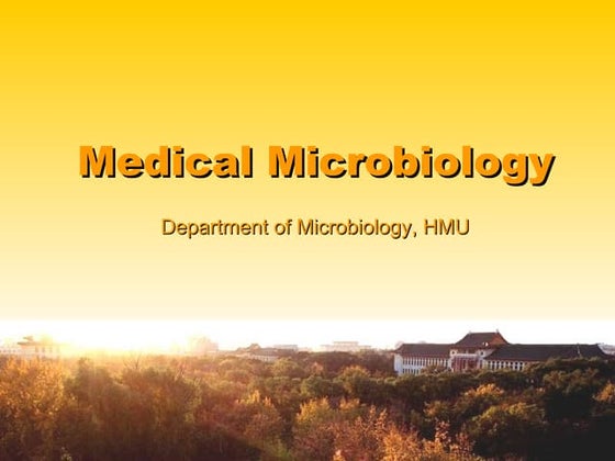 Normal Microbial Flora Is Best Described As Normal flora | PPT