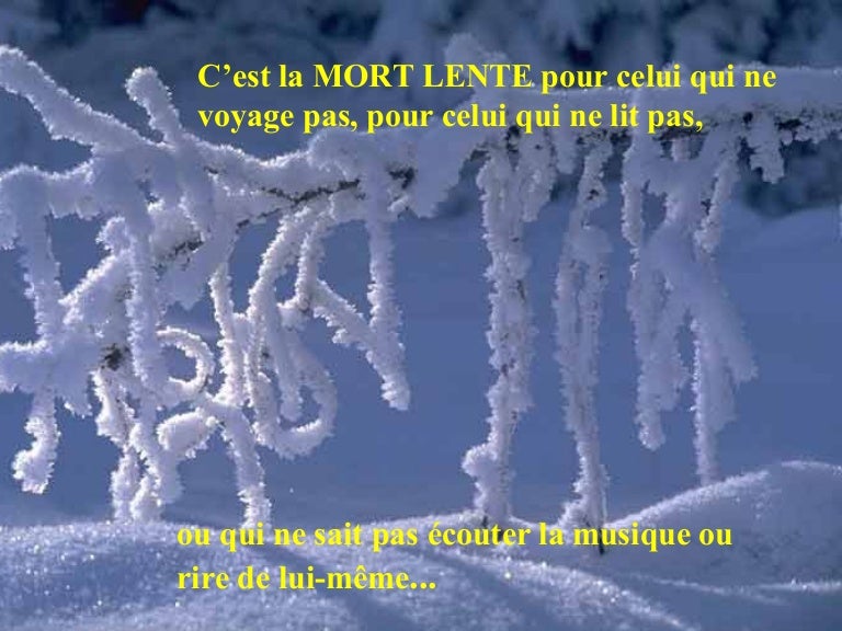 Pour Ne Pas Mourir Scan