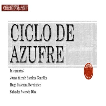  ciclo del azufre