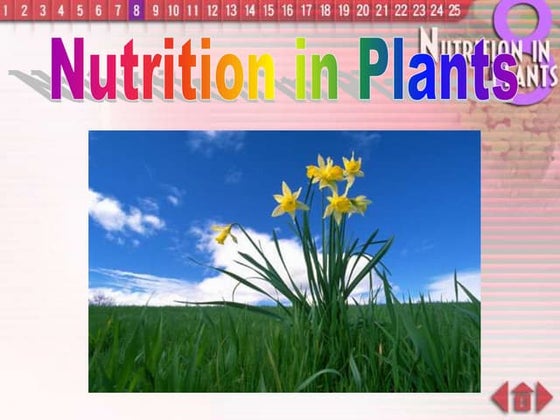 Chapter 7 Nutrition in Plants Lesson 2 - Transport of water and mineral ...