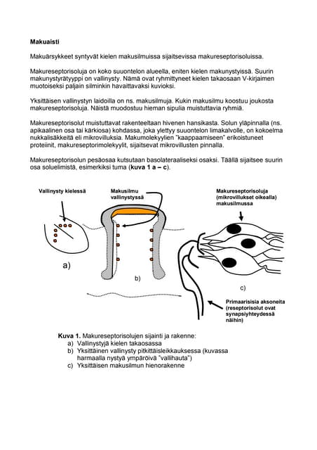 BI1 Koppisiemenisen Kukan Rakenne PDF