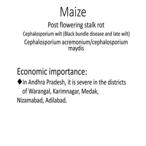 MAIZE STALK ROT