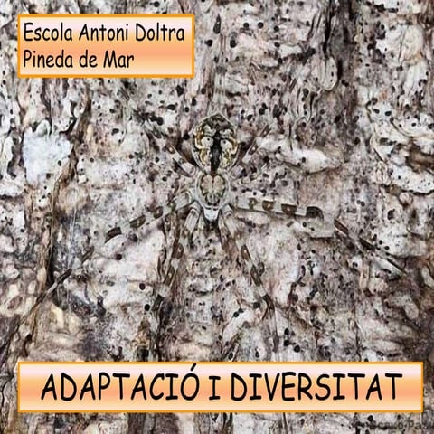 Adaptació i diversitat
