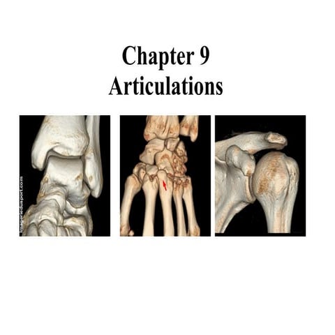 08 Articulations   General Features