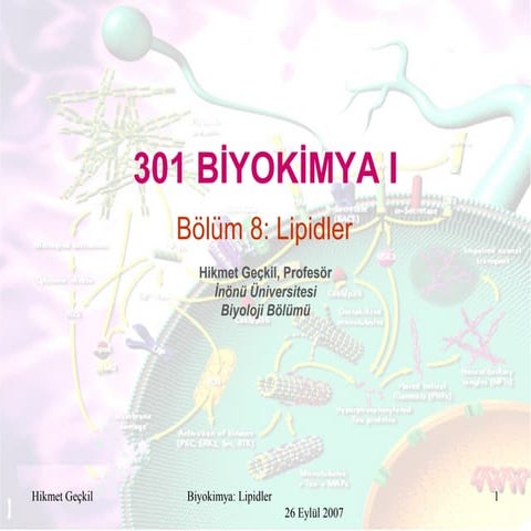 Biyokimya: Lipidler