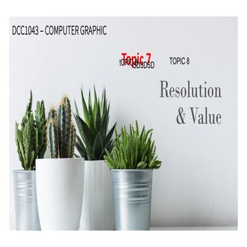 08-Resolution & Value.pdf