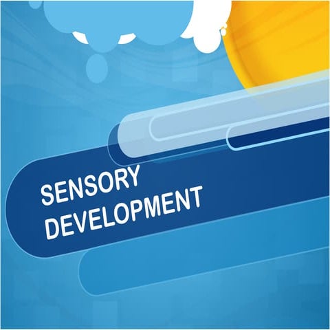 08   sensory development