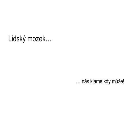 08  Testy  The  Human  Brain