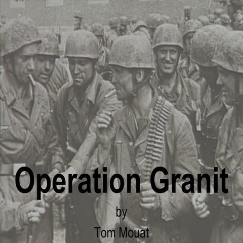 080228 Operation Granit