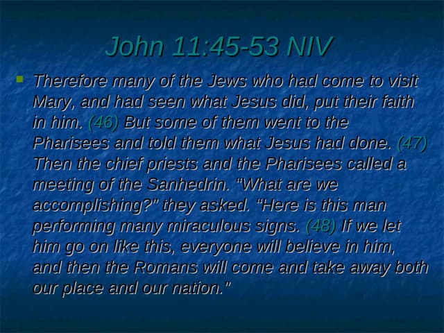 080823   The Many   The Few   The O...