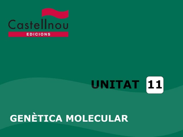 Unitat 11