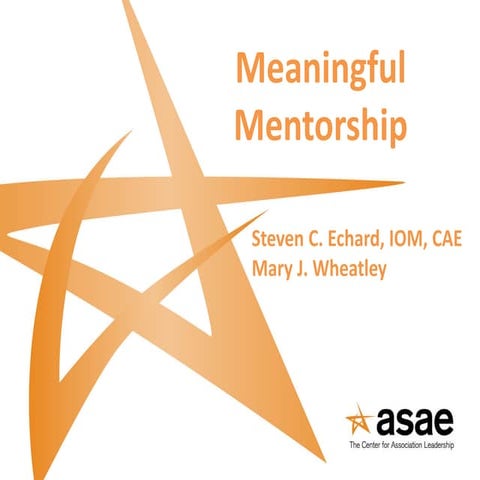 Meaningful Mentorship