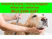 BOOSTING INVESTMENT IN PRODUCTIVE CAPACITIES FOR TRADE: A CALL TO ACT…