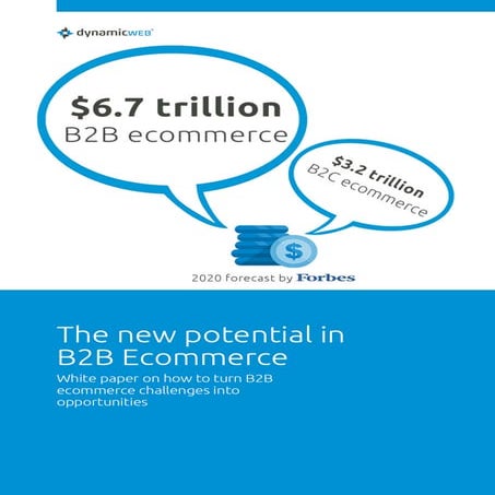 White Paper - B2B Ecommerce