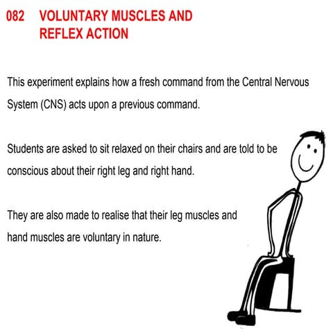 082 voluntary muscles and reflex action