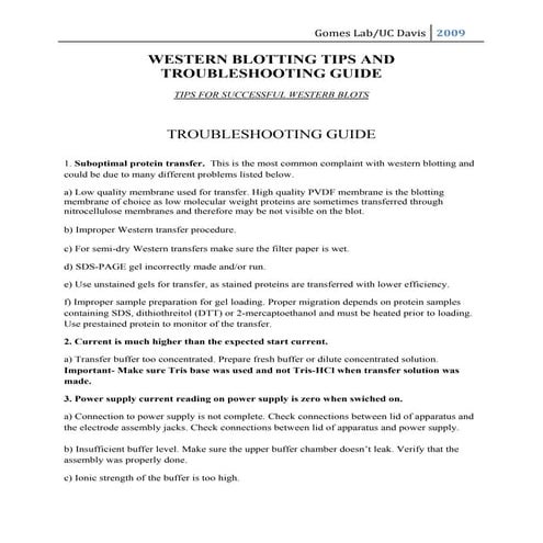 Western Blotting Protocol & Troubleshooting | PDF