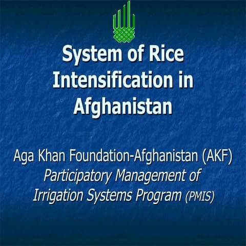 0847 System of Rice Intensification in Afghanistan