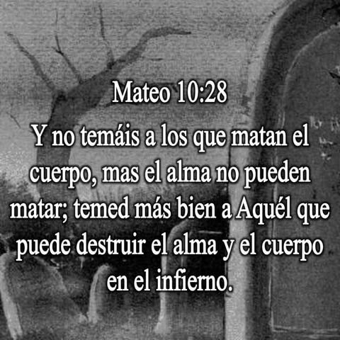 085 lecciones de la inseguridad