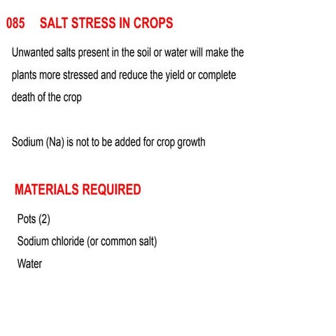 085 salt stress by crops