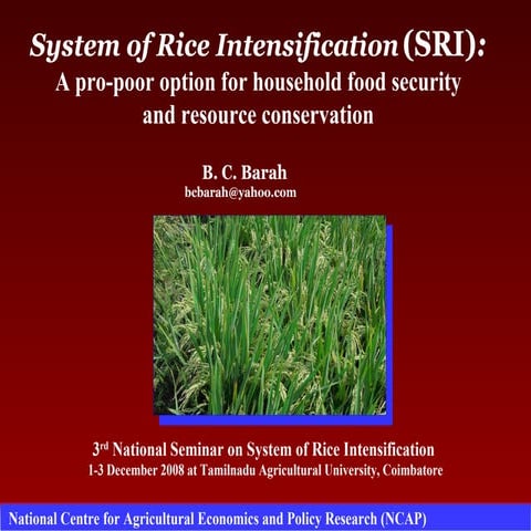 0864 System of Rice Intensification (SRI): A Pro-Poor Option for Household Fo...