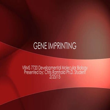 Gene imprinting(edited)