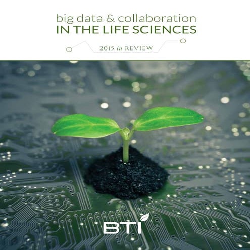 BTI-2015-Online-Annual-Report (2)